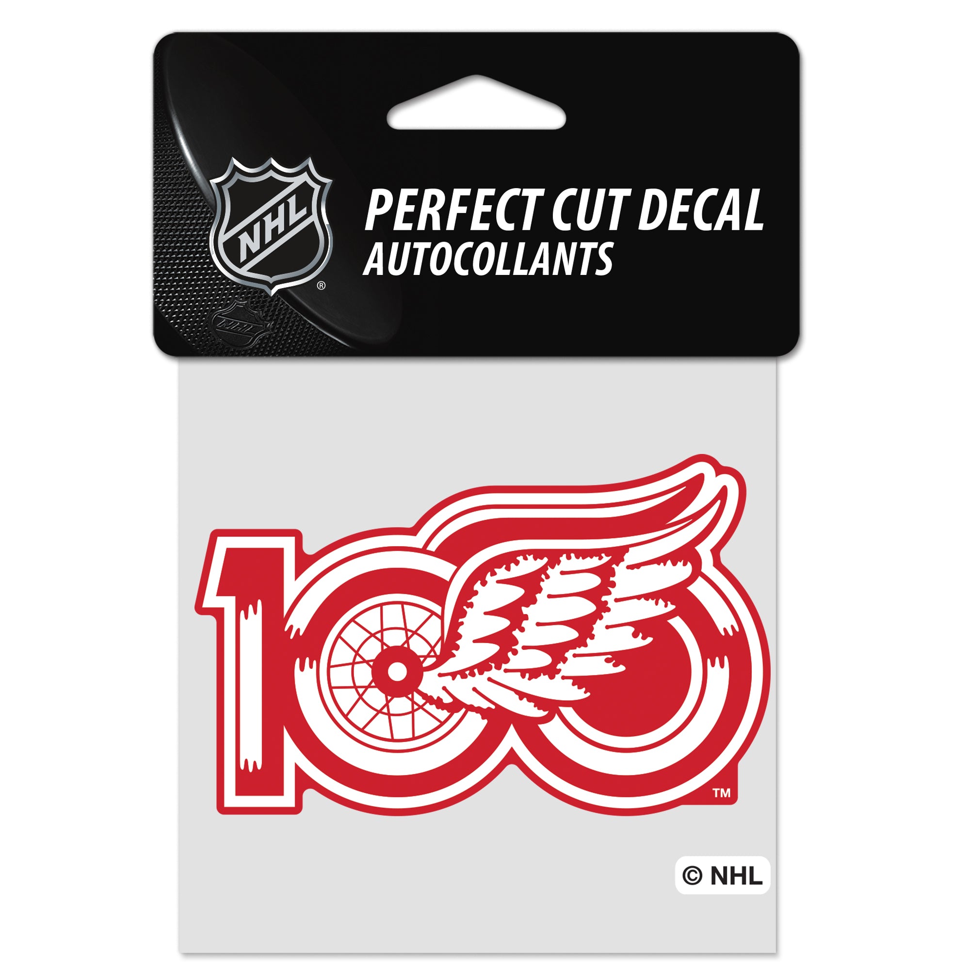 Detroit Red Wings 100 Years of Hockeytown Decal 3.5"