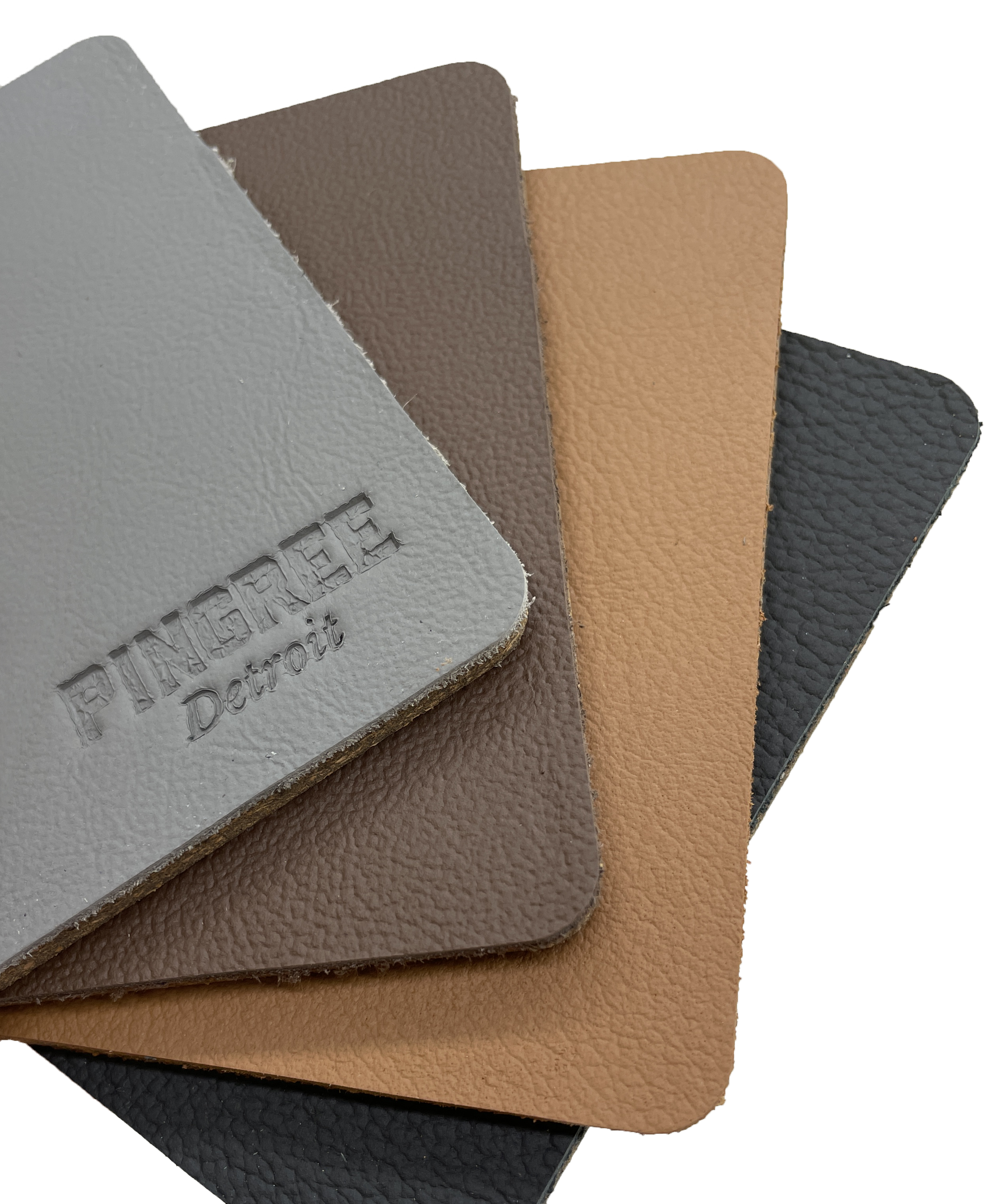 The Corktown Coasters