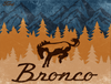 Metal Sign - Ford Bronco Mountains