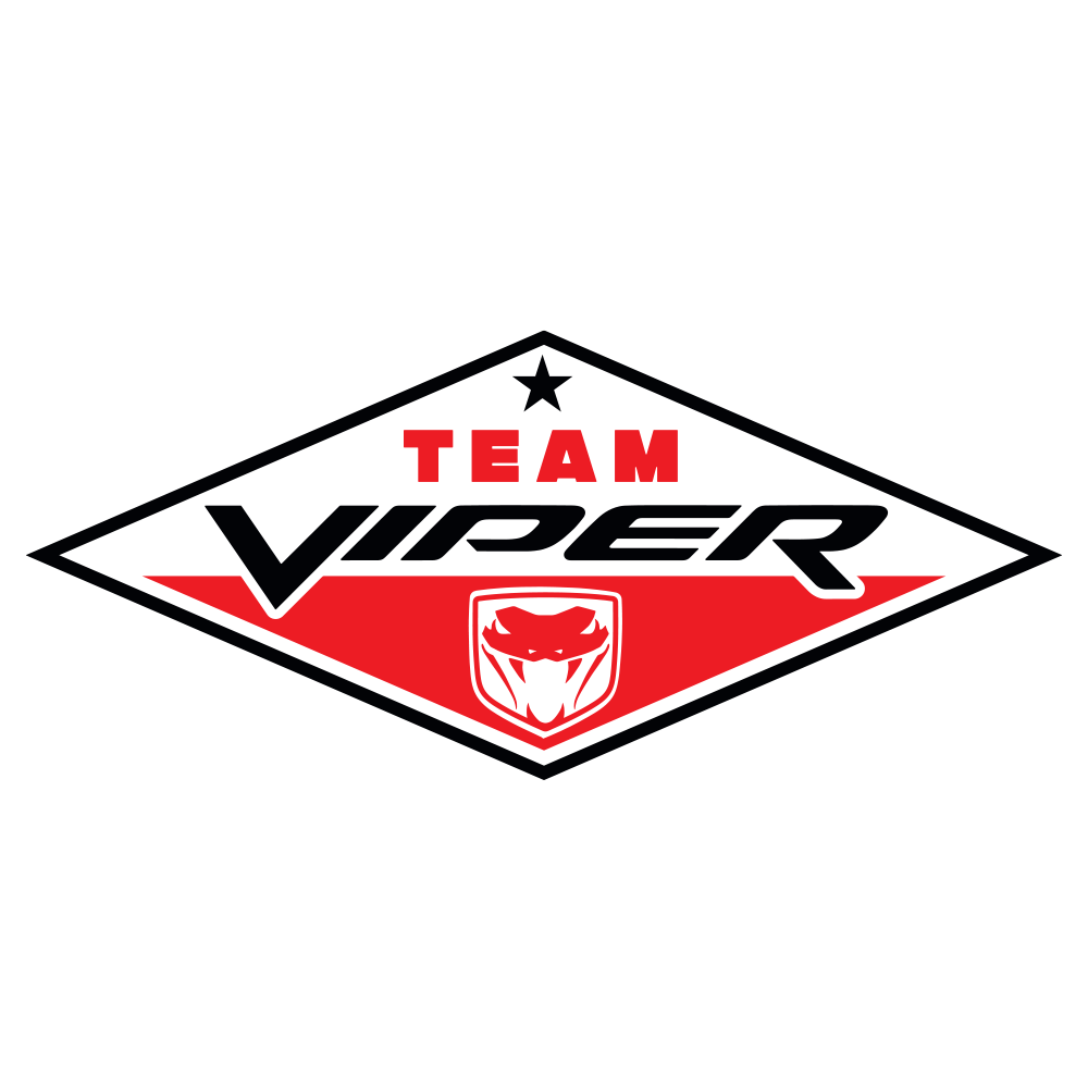Patch - Dodge Team Viper