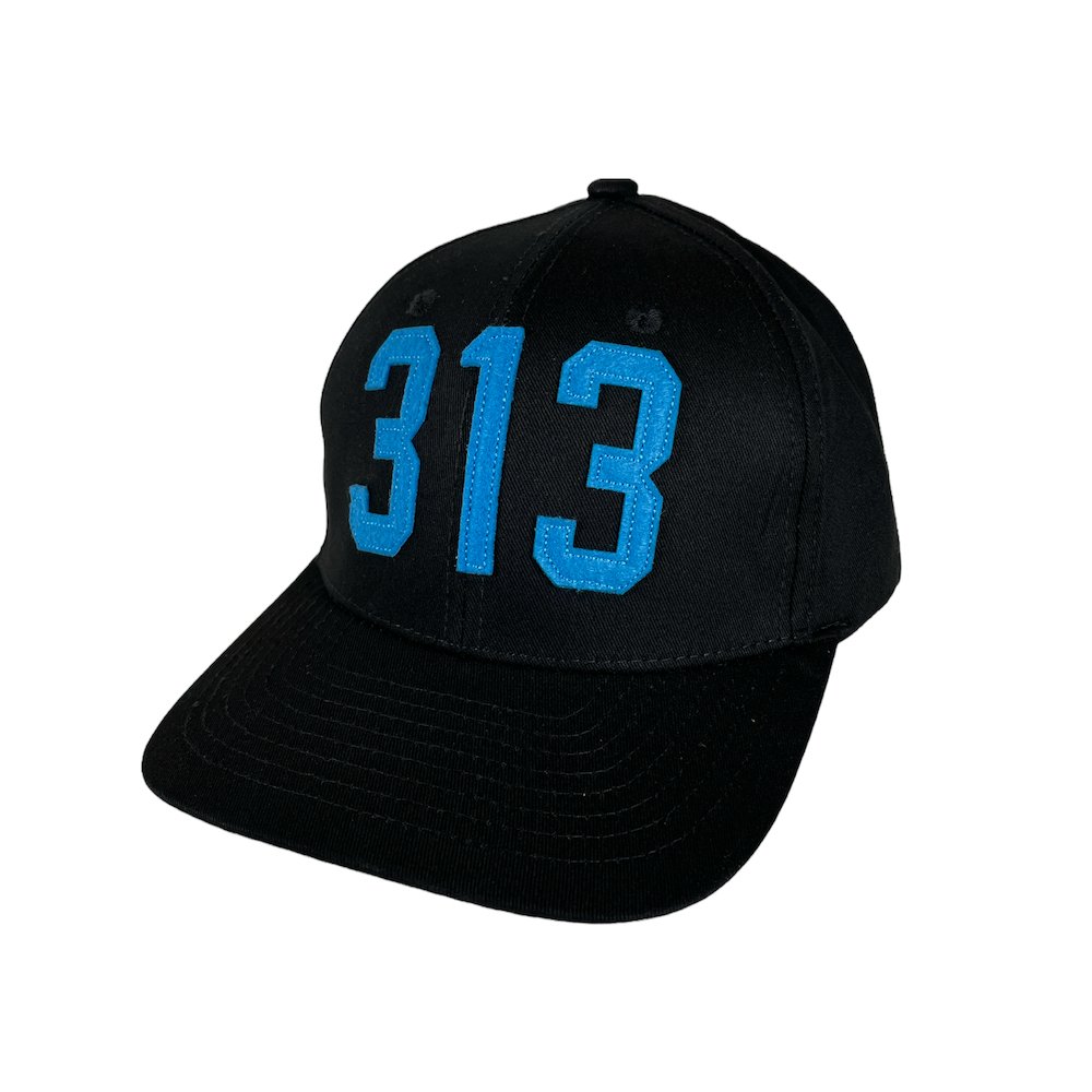 Hat - Detroit 313 - Multiple colors - Detroit Shirt CompanyDetroit Shirt CompanyHats (Apparel)