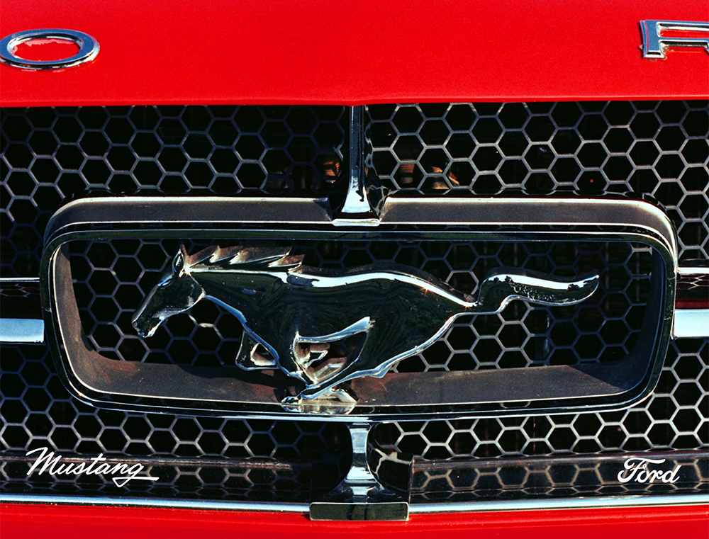 Metal Sign - Ford Mustang Grille - Red