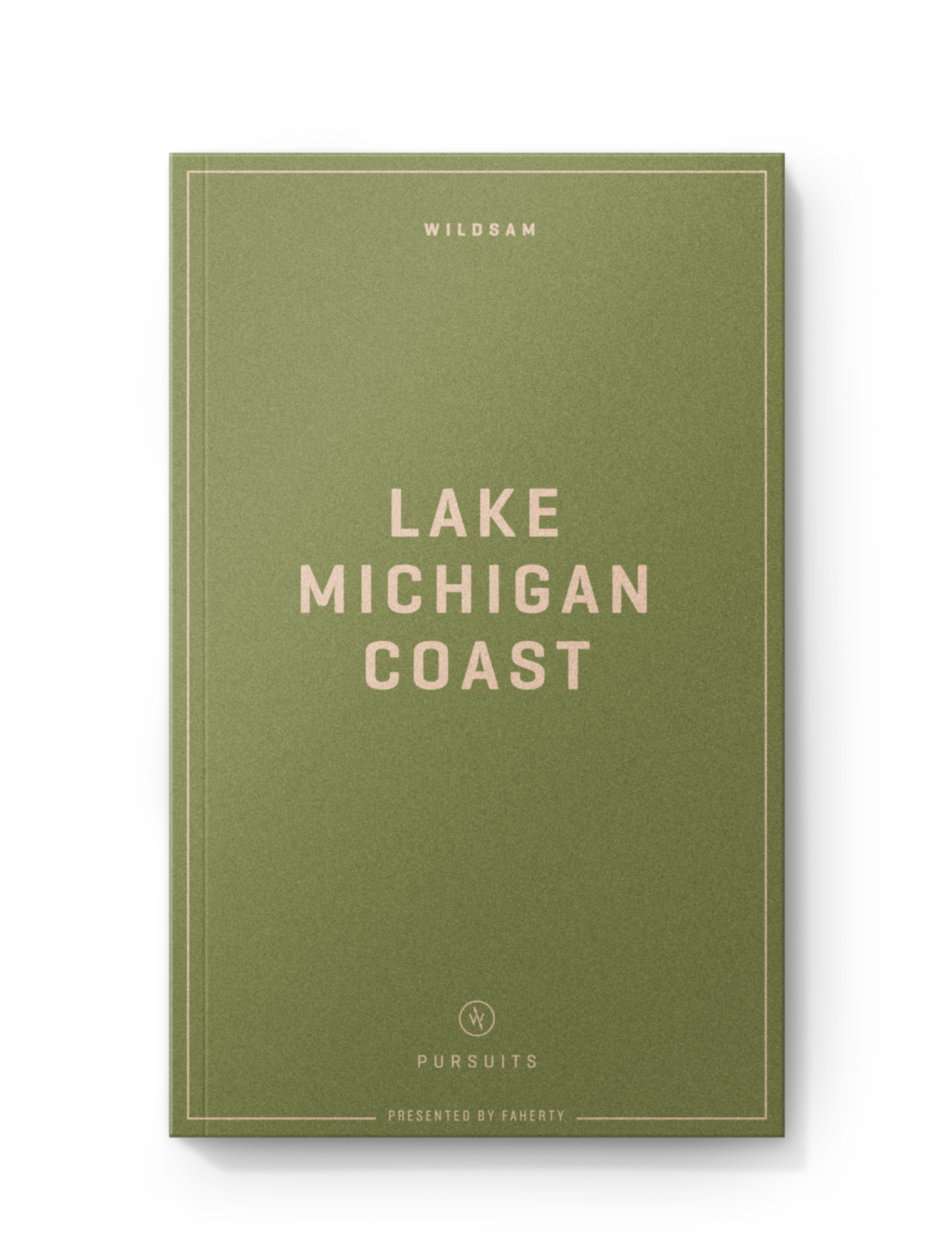 LAKE MICHIGAN COAST