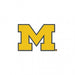 Michigan Wolverines - Logo Collector Pin - Detroit Shirt CompanyWinCraftOther Accessories