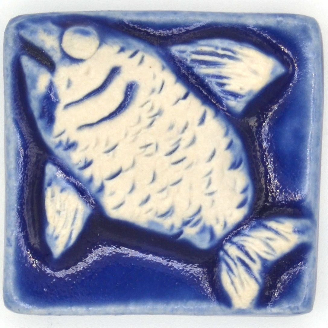 2x2 Fish