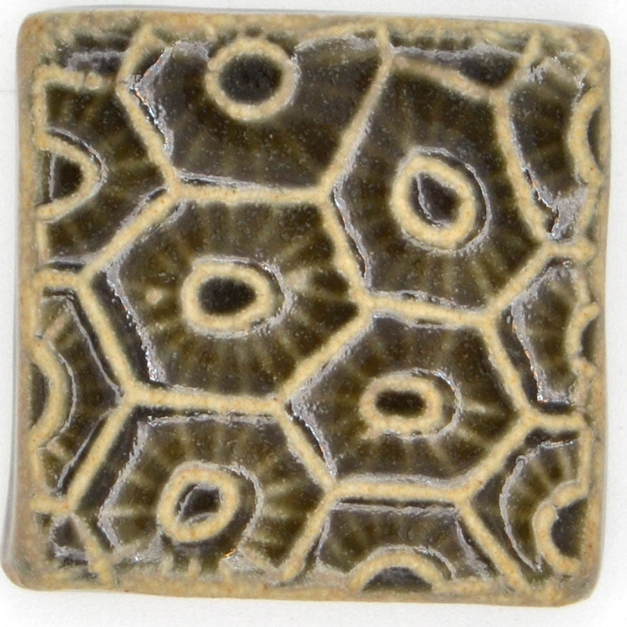 2x2 Petoskey Stone