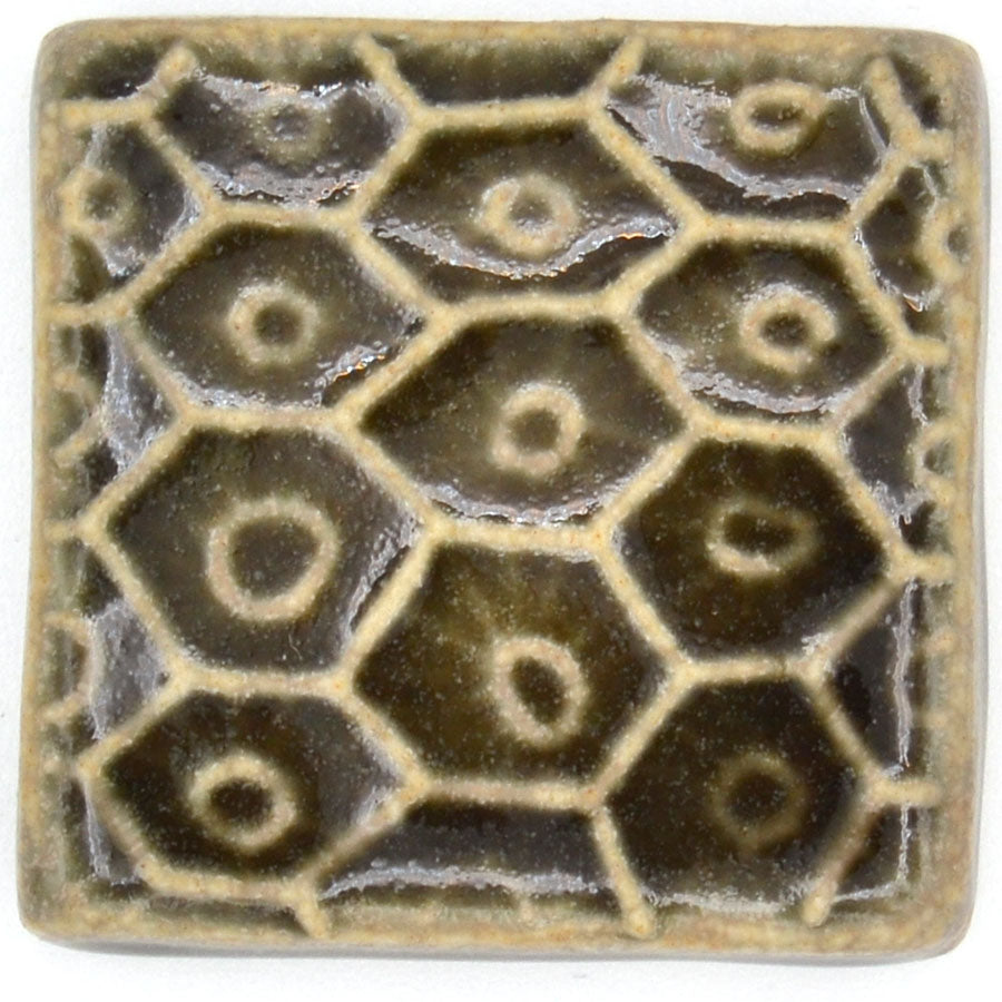 2x2 Petoskey Stone