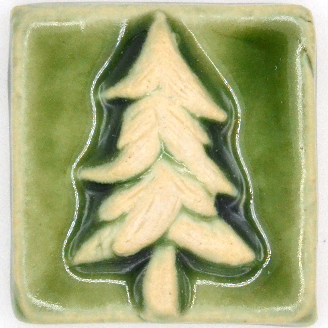 2x2 Pine Tree