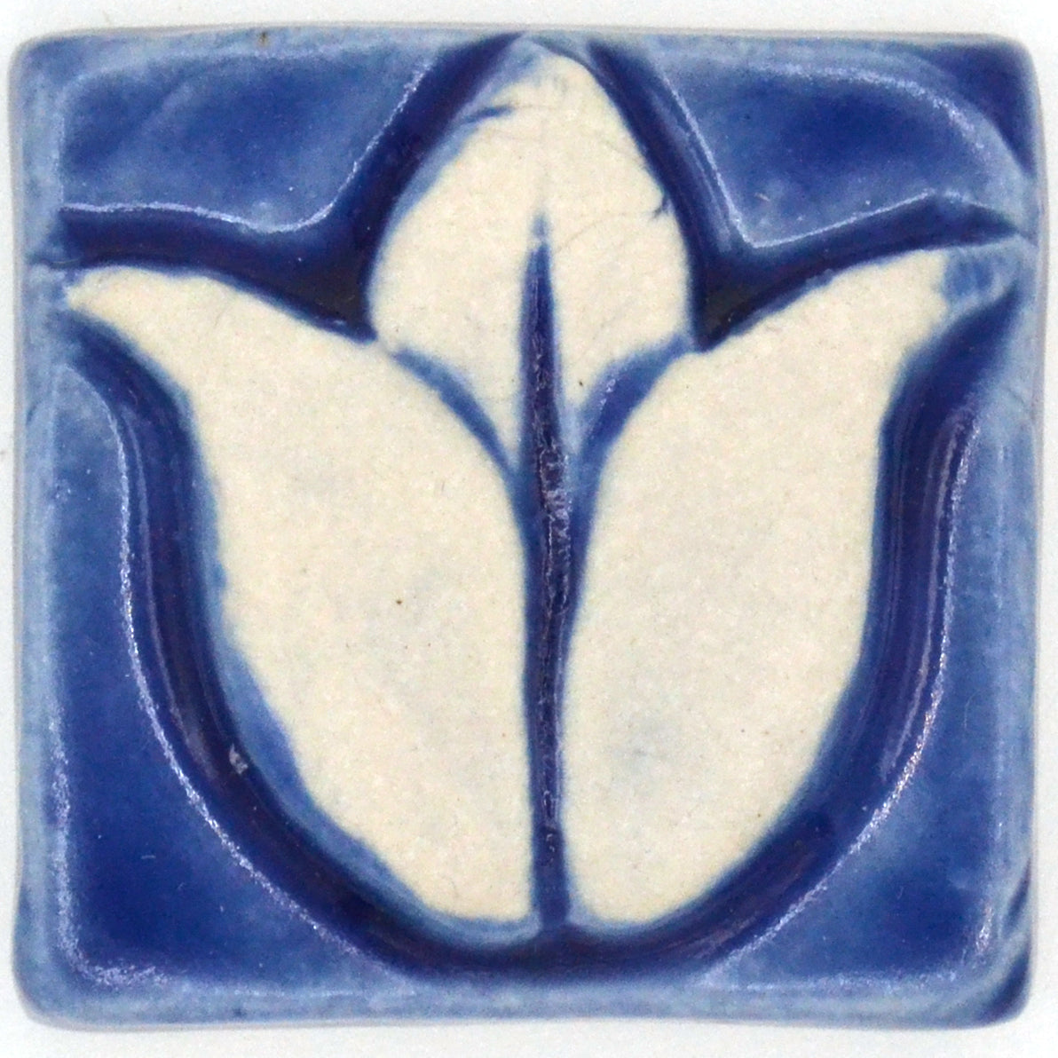 2x2 Tulip