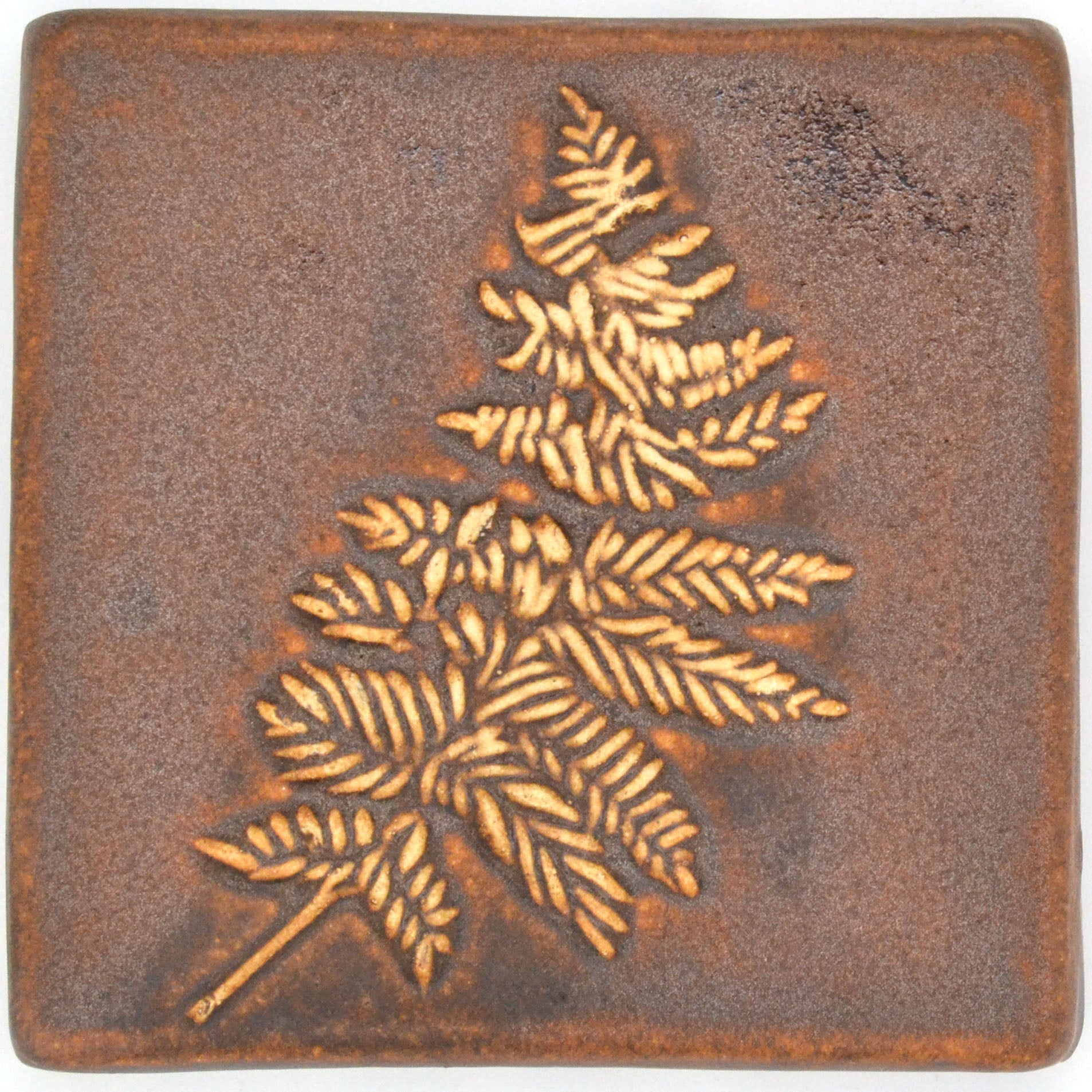 4x4 Fern