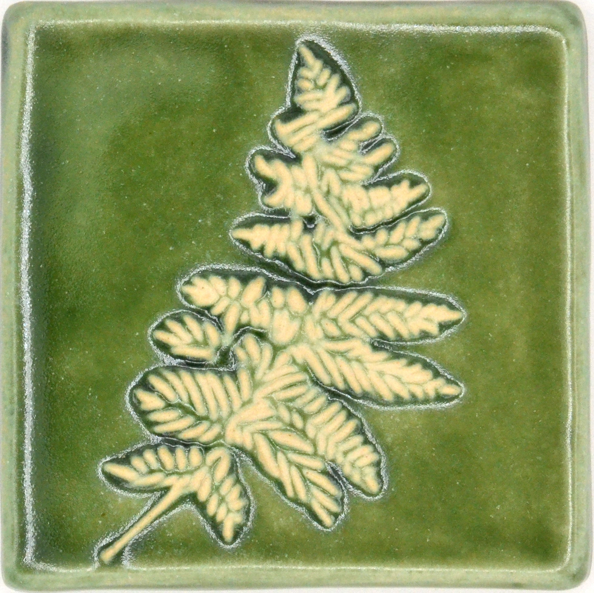 4x4 Fern
