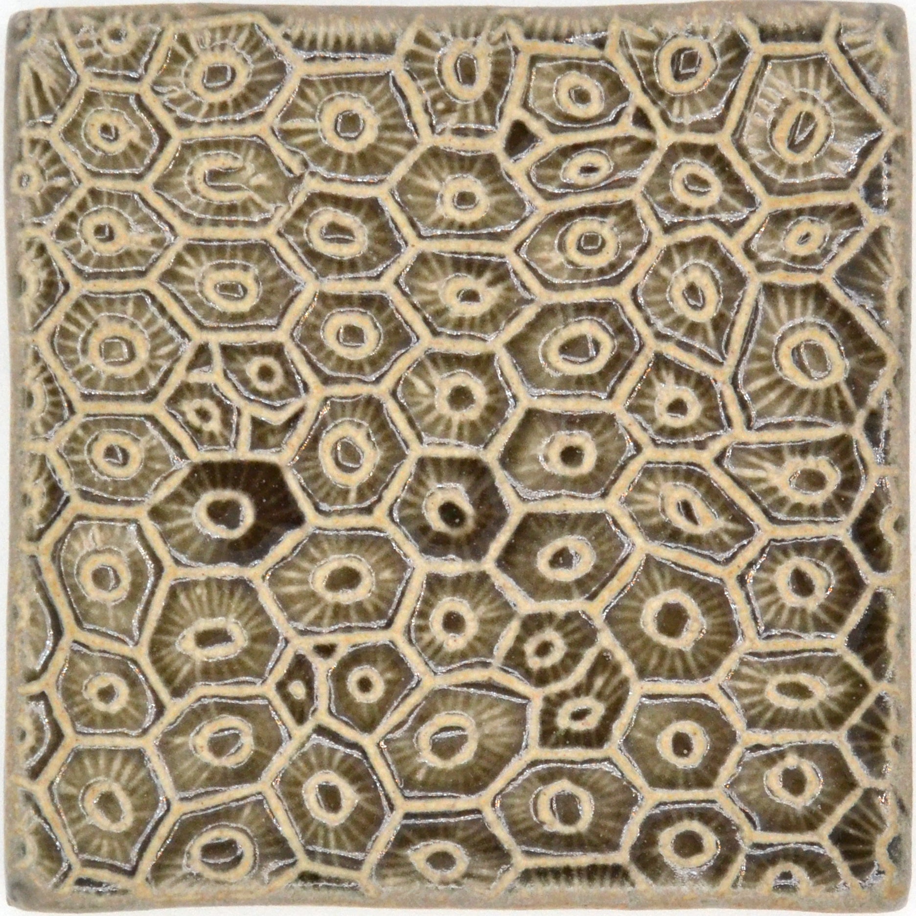 4x4 Petoskey Stone