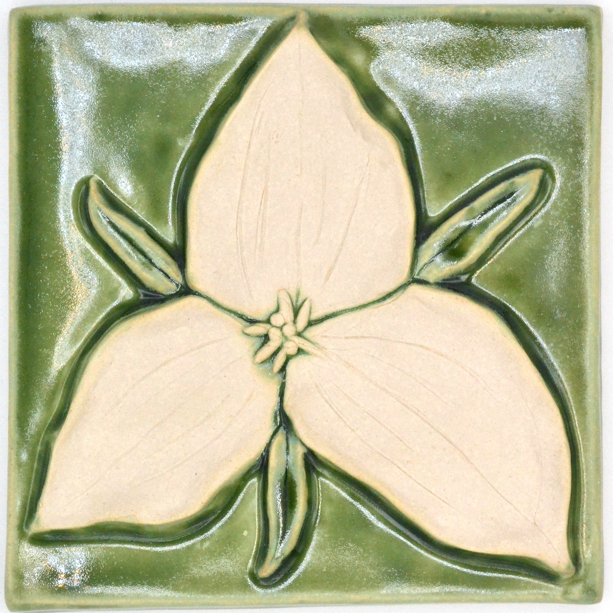 6x6 Trillium