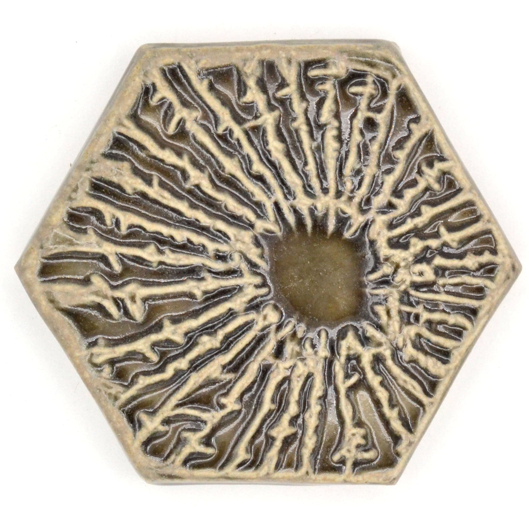 Petoskey Stone Eye
