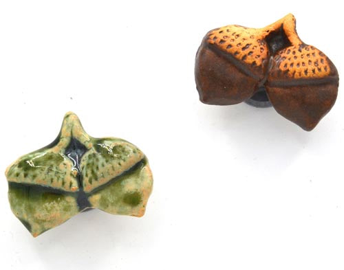 Acorn Magnet