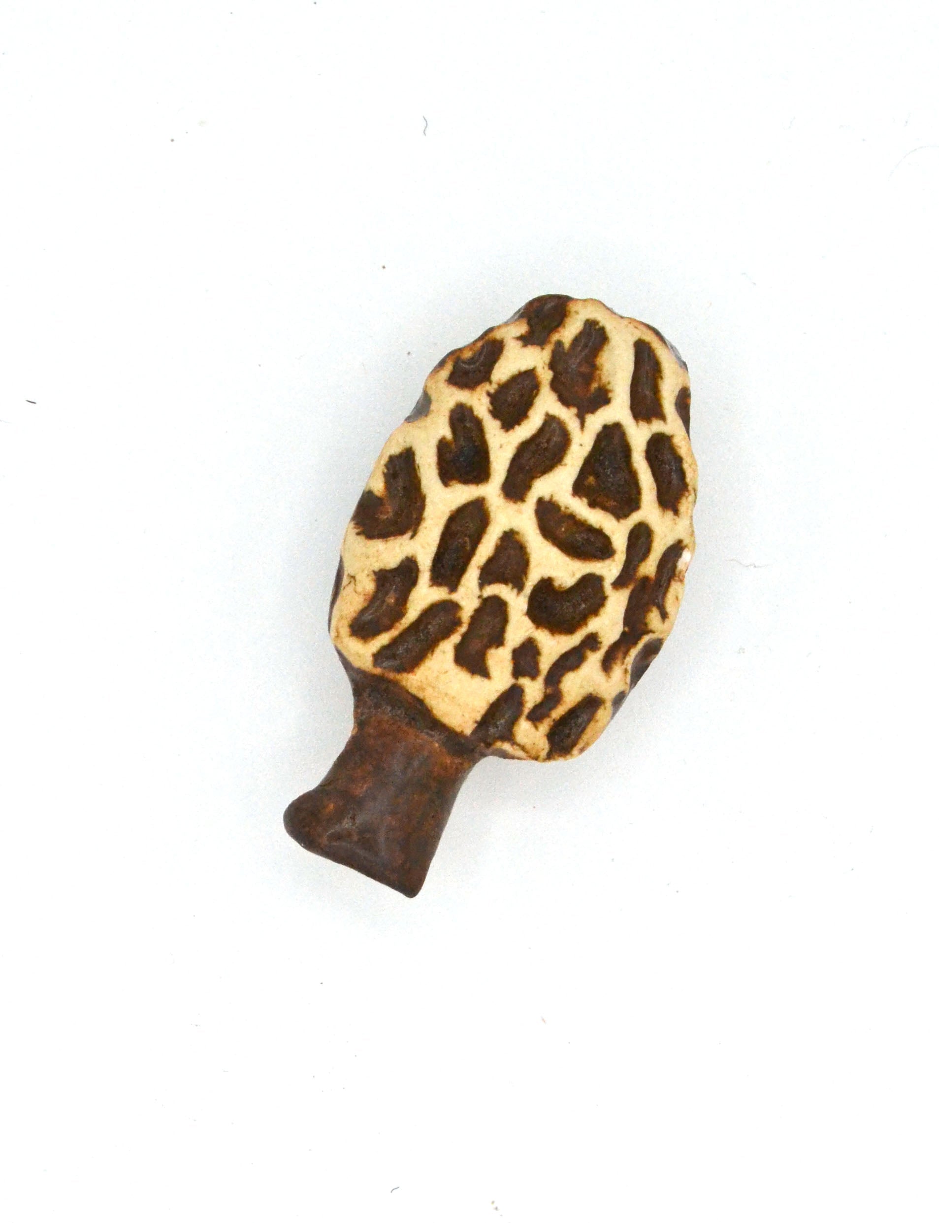 Morel Mushroom Magnet