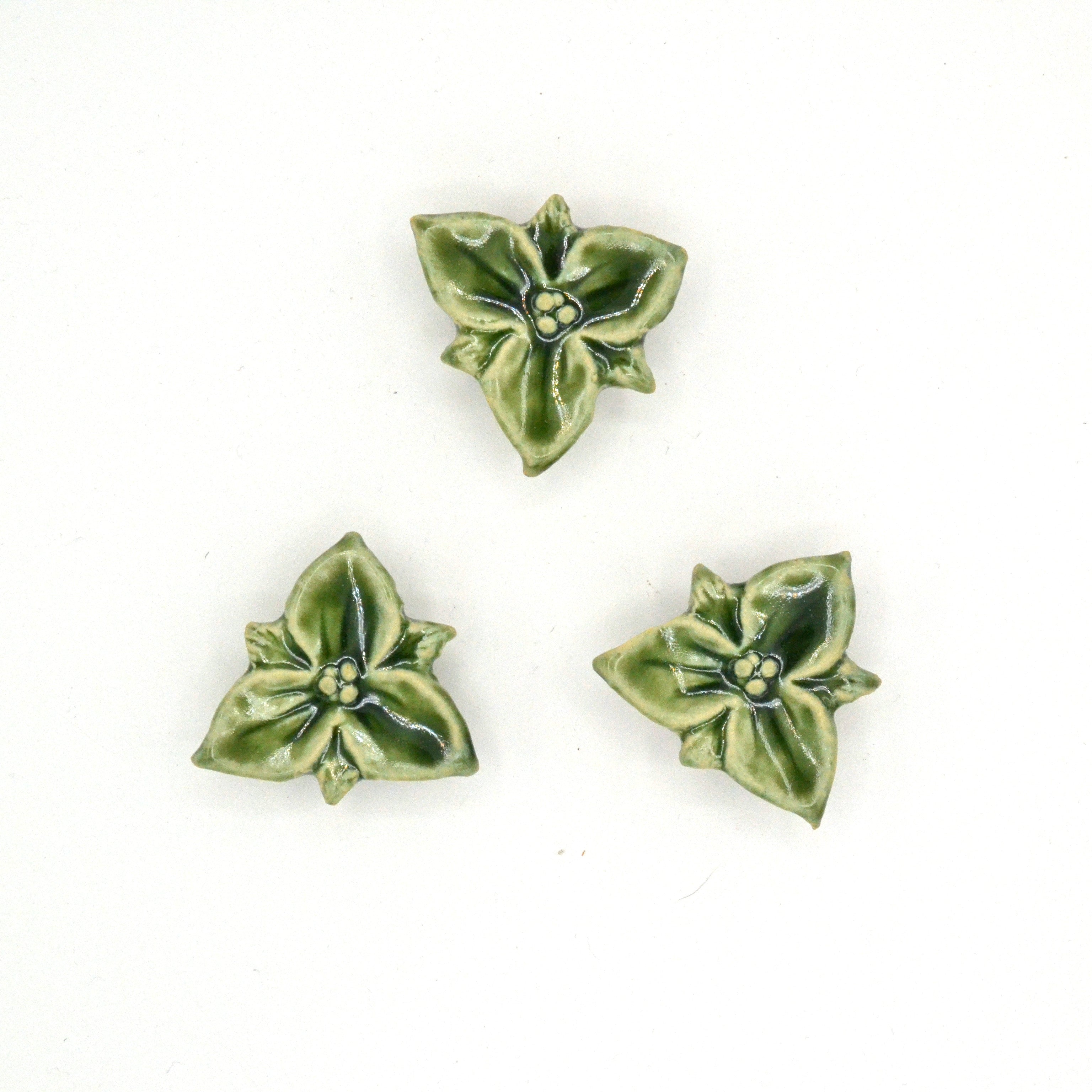 Trillium Magnet