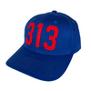 Hat - Detroit 313 - Multiple colors